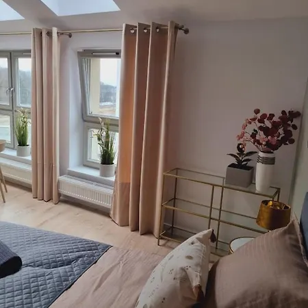 Apartman Miodowa Street Parking Free *